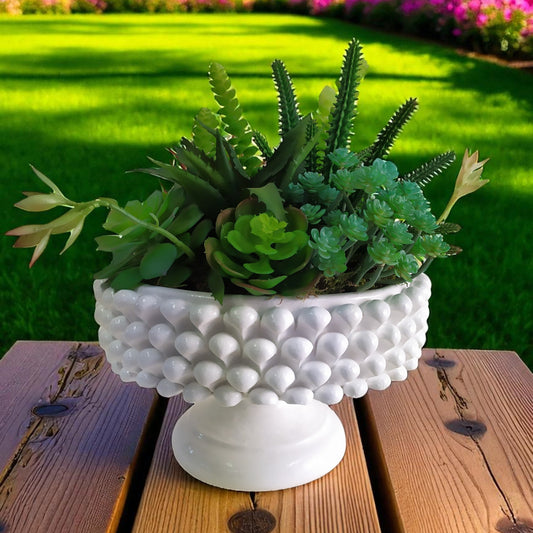 Vaso Pigna in Cemento Porcellanato 🏺 Stile Caltagirone | Artigianato Sorrentino per Piante, Succulente e Arredo Interno o Esterno 🌿