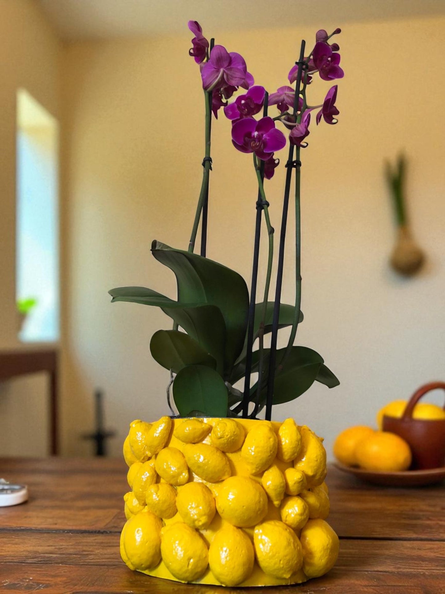 Vaso artigianale in cemento porcellanato con limoni – Design Coprivaso mediterraneo fatto a mano in Italia