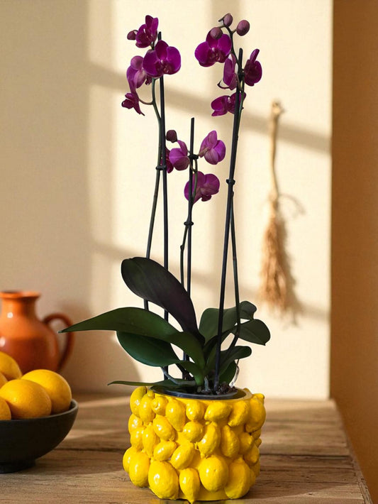 Vaso artigianale in cemento porcellanato con limoni – Design Coprivaso mediterraneo fatto a mano in Italia